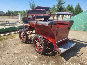 Atelaj Docar Maraton Trasura pentru 1 sau 2 cai - imagine 2