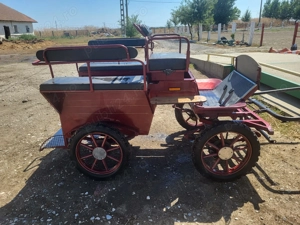 Atelaj Docar Maraton Trasura pentru 1 sau 2 cai - imagine 3