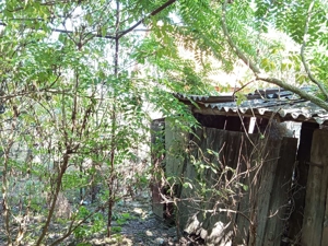 Iam, Casa 5 Camere, Gospodarie, 1439mp Teren, Pret Negociabil - imagine 11