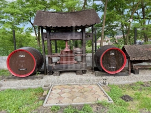 Pensiunea Polyana – business la cheie în inima stațiunii balneoclimaterice Bazna - imagine 19