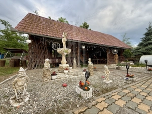 Pensiunea Polyana – business la cheie în inima stațiunii balneoclimaterice Bazna - imagine 18