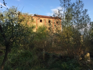 Vand teren intravilan zona CHIZATAU, jud. TIMIS