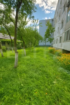 Apartament 3 camere | Mănăștur | Renovat complet | Parter înalt | Zonă verde - imagine 9