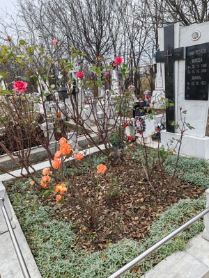 Buzău, cimitirul Constantin și Elena (Bere), vând 2 locuri de veci 