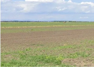 Teren extravilan Cocorastii Colt ; ID: R2710069 - imagine 5