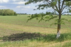 Teren extravilan Cocorastii Colt ; ID: R2710069 - imagine 9