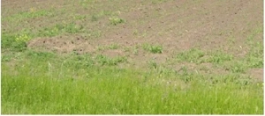 Teren extravilan Cocorastii Colt ; ID: R2710069 - imagine 8