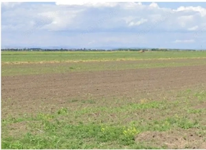 Teren extravilan Cocorastii Colt ; ID: R2710069 - imagine 6