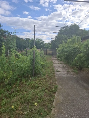 Vind  Casa - imagine 4