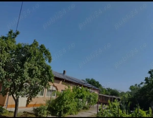 Vind  Casa - imagine 6