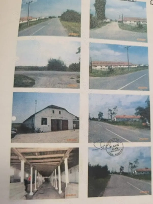 Vand grajduri si teren in suprafata de 27.141mp in Turnu, Arad