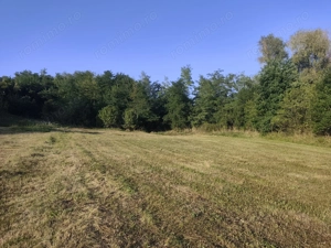 Vand teren intravilan in sat Glodeni, jud. Dambovita