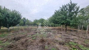 Casa individuala, curte generoasa, centrala proprie, sat Covaci - imagine 11 Casa individuala, curte generoasa, centrala proprie, sat Covaci - imagine 11