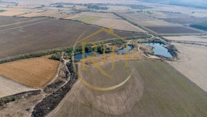 Investiție unică, 10 ha teren cu luciu de apă, ideal pentru turism și agrement! - imagine 8