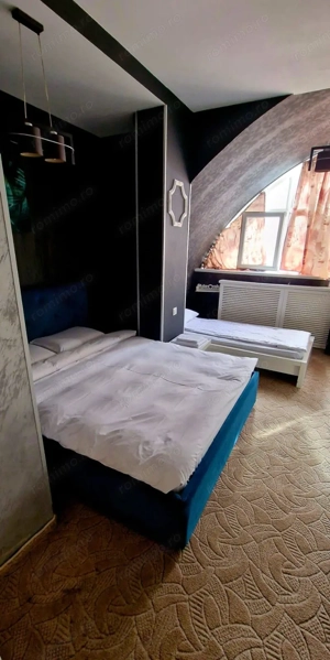 Vanzare - imobil cu posibilitati de investitie multiple - Mazepa 2 - imagine 11