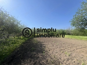 Teren Intravilan Central Ghercesti - imagine 3 Teren Intravilan Central Ghercesti - imagine 3