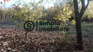 Teren Intravilan Central Ghercesti - imagine 2 Teren Intravilan Central Ghercesti - imagine 2