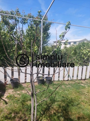 Teren intravilan-zona Metro - imagine 10