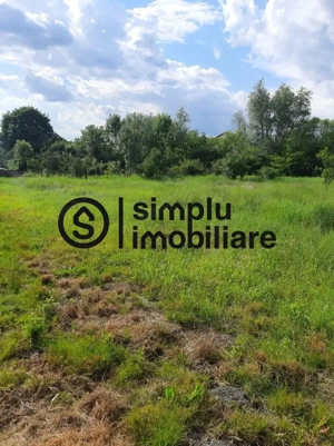 Teren intravilan, Isalnita