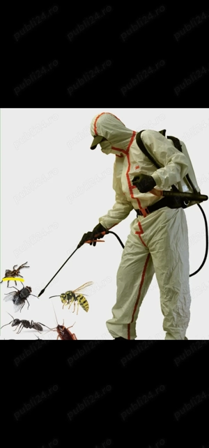 Deratizare - Dezinsectie 