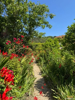 Proprietar- Teren central