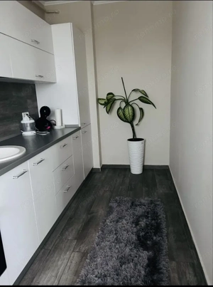 Apartament 2 camere Dumbravita etaj 1 - imagine 6