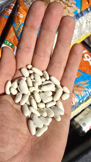 Vand fasole alba calitate I