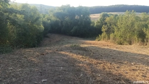 Teren de vanzare - imagine 5