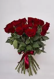 Cau complice la distractie