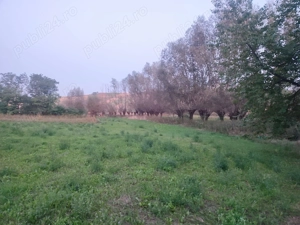 Vand casă cu teren, localitatea Horodniceni, județul Suceava - imagine 4