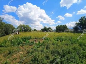 Casa cu 4 camere si 1650 mp teren la doar 30 km distanta de Sibiu - imagine 3