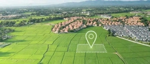 Arendă 18 ha teren arabil   Darova, jud. Timis *disponibil din noiembrie pe 1 an, de la proprietar*