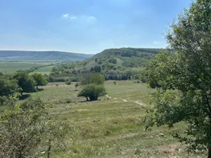 vand teren extravilan Aiud 3300 mp front strada 23m - imagine 4