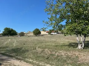 vand teren extravilan Aiud 3300 mp front strada 23m - imagine 8