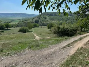 vand teren extravilan Aiud 3300 mp front strada 23m - imagine 6