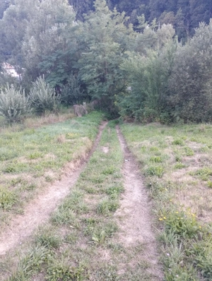 Vand teren cu pomi fructiferi + teren agricol