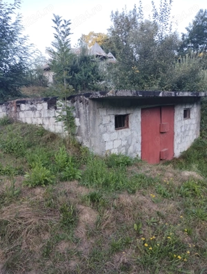 Vand teren cu pomi fructiferi + teren agricol  - imagine 3