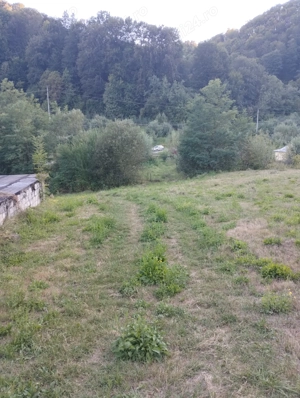 Vand teren cu pomi fructiferi + teren agricol  - imagine 6