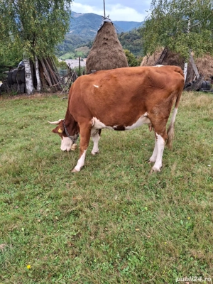 Mă vinde tot ce se vede  - imagine 3