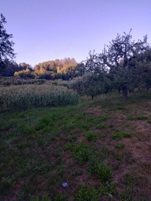 Vand teren cu pomi fructiferi + teren agricol  - imagine 7