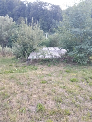 Vand teren cu pomi fructiferi + teren agricol  - imagine 9