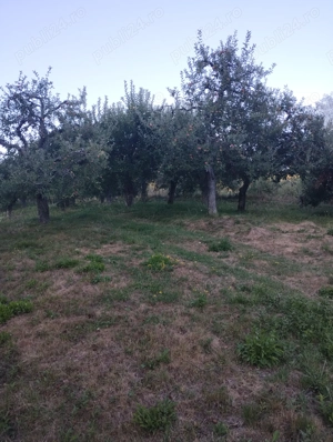 Vand teren cu pomi fructiferi + teren agricol  - imagine 8