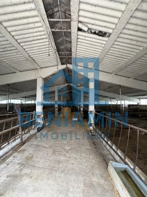 60.000mp Ferma de bovine, păsări, porcine, culturi agricole Diverse - imagine 3