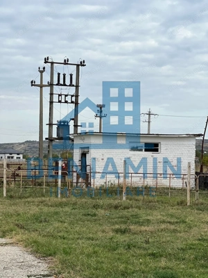 60.000mp Ferma de bovine, păsări, porcine, culturi agricole Diverse