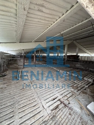 60.000mp Ferma de bovine, păsări, porcine, culturi agricole Diverse - imagine 4