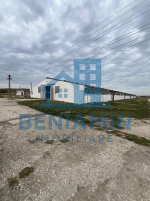 60.000mp Ferma de bovine, păsări, porcine, culturi agricole Diverse - imagine 2