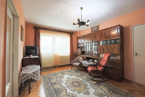 REZERVAT!Vedere directă spre faleza Mureșului, Micalaca 300 - imagine 4