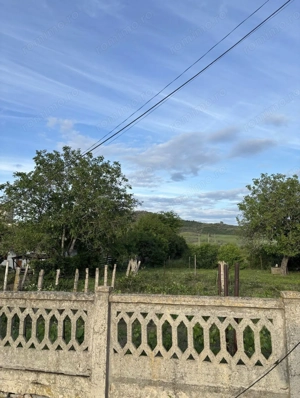 Teren intravilan sat Halanga - imagine 2