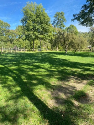 Teren de vanzare in Comarnic - imagine 3