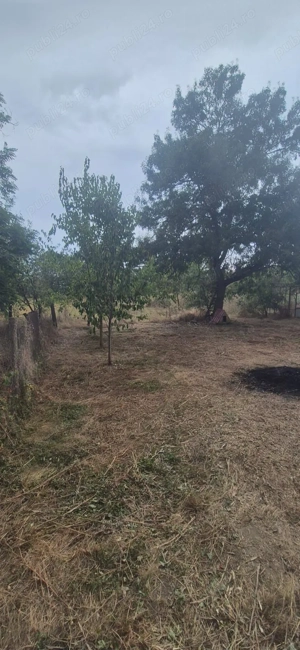 Vând casă în Sculia,Orașul Gătaia,Jud Timiș (2158mp) - imagine 6